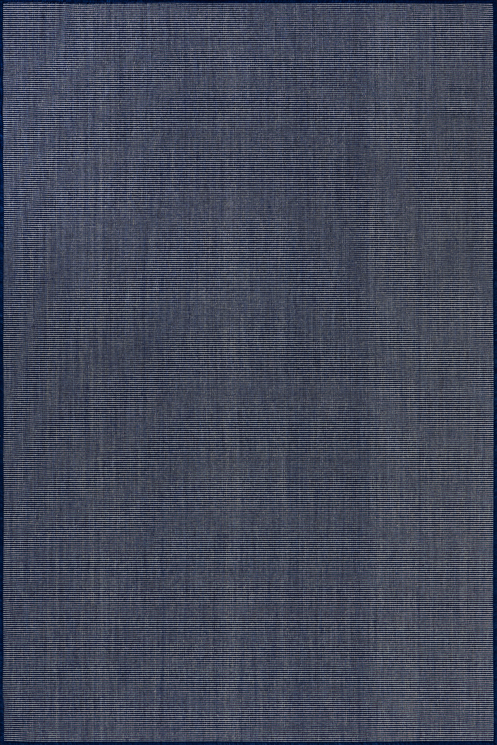 Dorinda Hazy Solid Indoor/Outdoor Rug | Navy
